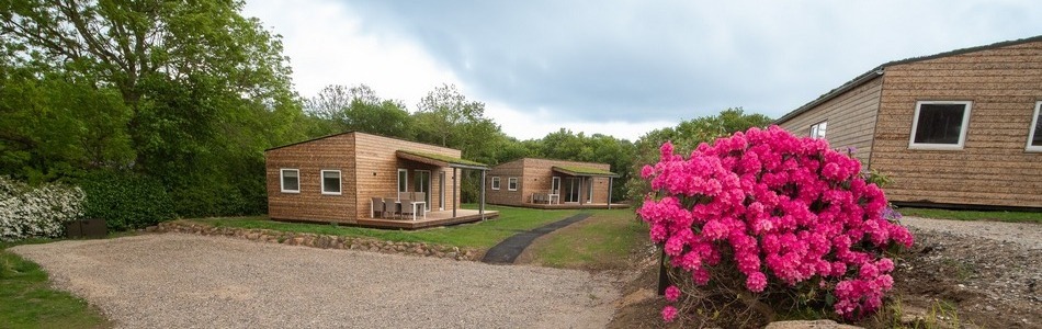 Hold ferien ved Kattegat på Blushøj Camping - smuk natur og udsigt til Hjelm